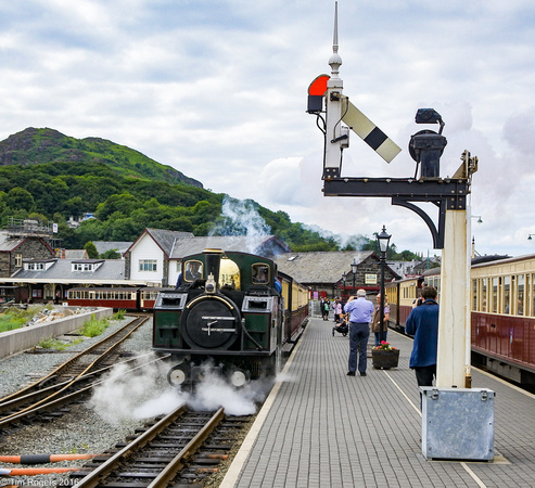 21_June_16 Welsh Highland Railway_TJR367-Timbo-Desktop2