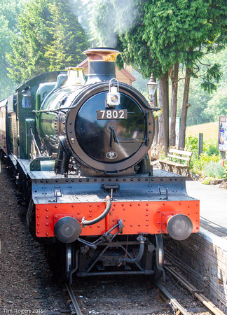 7802 05_June_16 Severn Valley Railway_TJR030