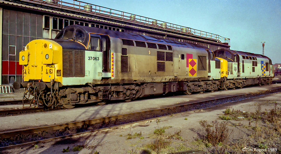 37063 & 37705 09 Dec 1989 Stratford Depot 89_44_TJR017